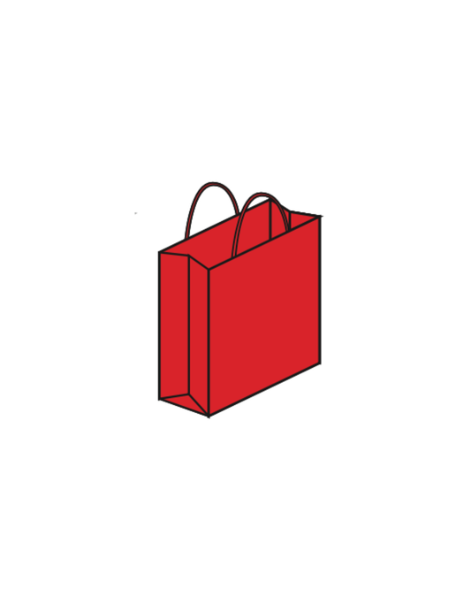 Coloured Paper Shopping Bags - Case of 250