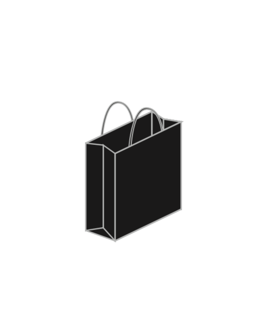 Coloured Paper Shopping Bags - Case of 250