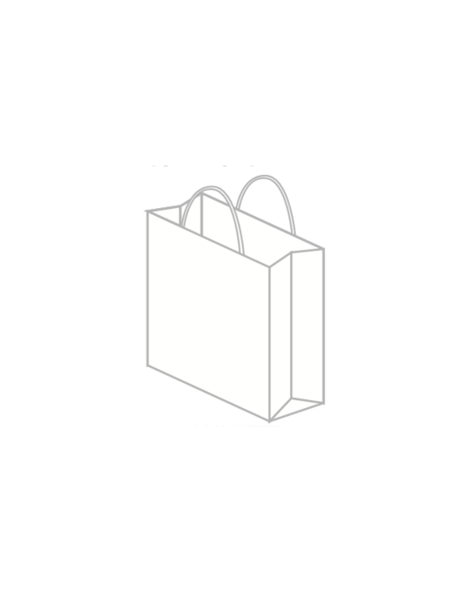 Regular Paper Shopping Bags - Case of 200