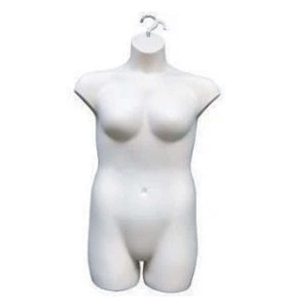 Hanging Torso Forms- Female
