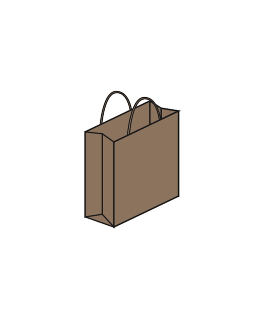 Regular Paper Shopping Bags - Case of 200